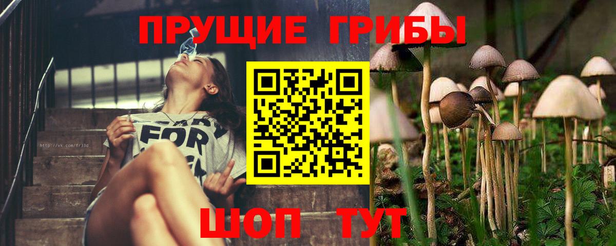 Энгельс  Псилоцибиновые грибы MAGIC MUSHROOMS  Вход с VPN  Галлюциногенные грибы прущие грибы 