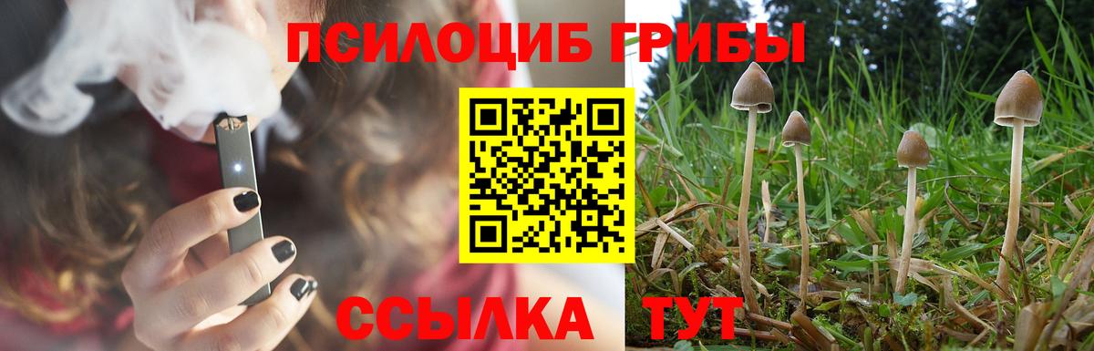 Псилоцибиновые грибы мицелий Энгельс